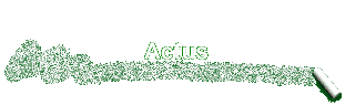 Actus