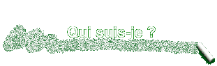 Qui suis-je ?