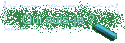 Qui suis-je ?